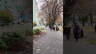 On Beach Avenue 🇨🇦, #englishbay #westend  #downtown #downtownvancouver #vancouver #shorts