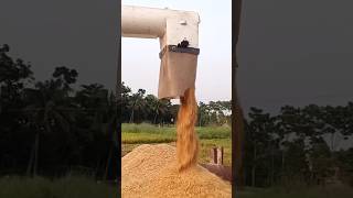 rich cutter machine rice harvesting.#ricecuttingmachine #viralshort #viralvideo #trendingshorts