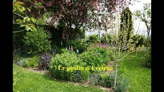 ® le jardin d'Evelyne