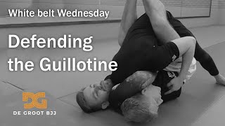 Guillotine defense (Von Flue choke) - White belt Wednesday