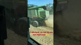 Wheat harvest