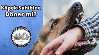 Köpek Sahibine Döner mi?