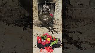 Il नमः शिवाय l l #video #videoclip #maharashtra #shivay #viral #short