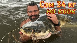 Огромный сом на квок на Волге. Более 30 кг. Рыбалка в Астраханской области. Fishing in the summer