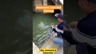 Awesome Cast Net Fishing Ever 🐟🐟 Best Fishing Video #shorts