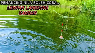 Susah Cari UMPAN.!!! ini umpan jitu untuk ikan nila liar yg mgkin kalian belum coba