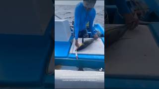 TOUR DE PESCA CLIENTES SATISFECHOS #buenapesca #fishingmethods #viral #fishing #tour #trolleando