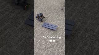 Ugot - Self-balancing robot!