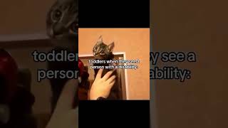 Toddlers When They See A Disabled Person - Cat Turning Head Meme