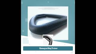 Homegym Sling Trainer