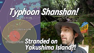 Typhoon Shanshan! Stranded on Yakushima Island?! (4K) 台風10号 | 屋久島