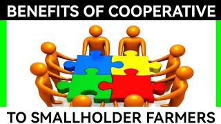 The Importance And Benefits Of Farmers Cooperatives In Agriculture