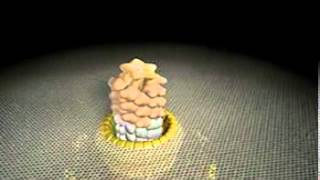 Movie of Flagellar Assembly.