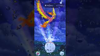 SHINY MOLTRES RAID POKEMONGO#pokemongo #ポケモンgo #shinypokemon #moltres #pokemon #raidbattles #pokémon