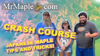 Tips For Growing Japanese Maples | MrMaple Presentation @ Connestee Falls Garden Club