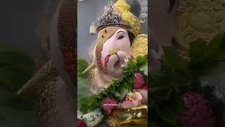 omm gan gan pataye namah 🙏 #ganesh #ganpati #ganpatibappamorya #shortsvideo #shortsfeed #shorts