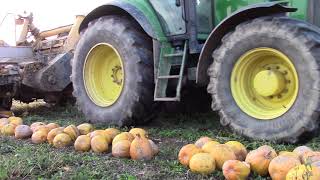 Kürbis Dreschen / John Deere, McCormick