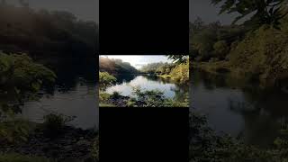 Mambukal Mountain Resort #negros #mambukal #travelguide #hotspring #waterfall #shortsvideo  🌞