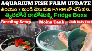 My Fish Farm Update:Aquarium Fish Farm at Home in Telugu