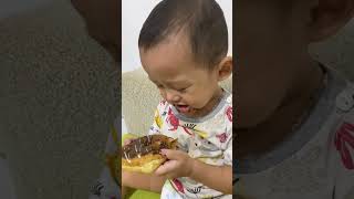 Takut banget donatnya diminta🤣 #bayiviral #babyshorts #bayimakan #babyeatingfood #bayiviral