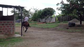 Pirámide del Rancho - Crd Toscana Noviembre 2012