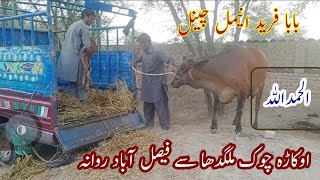 watch subscriber okara chok mlgdha to fasla bad 16/5/23