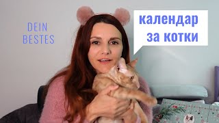 Коледен календар за котки на DM - DEIN BESTES 2021