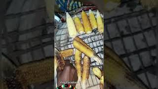 Streets food in Lomé Togo, roasted corn very delicious #short #streetfood #viral