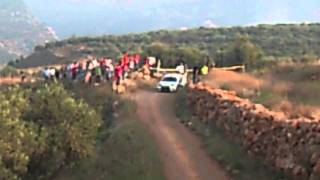 Rally des Cedres 2011