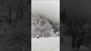 Sonmarg Kashmir after blizzard #shortvideo #travel #incredibleindia #india #kashmir #snow #snowfall