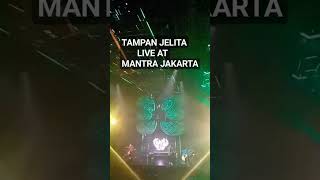 Live Music || Tampan Jelita Live at Mantra Jakarta #shorts #youtubeshorts #livemusic