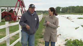 St. Louis-area farmers scramble to save crops from the cold