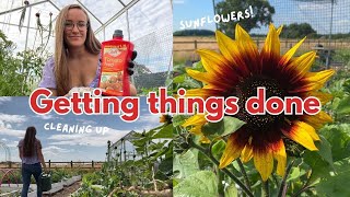 Getting things done at my allotment | Gardening Summer 2024