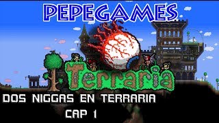 Dos Niggas en Terraria! - La aventura comienza