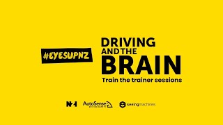 #EYESUPNZ Driving and the Brain