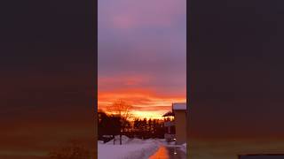 Sweden walks sunset/ #швеция #schweden #shortyoutube #outdoors #nordic #shortvideo #shot #shorts