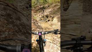 Techy slow bridges 🔥 #mountainbikeskills #shortvideo #mtb #bridge #mtblife #mountainbikeride