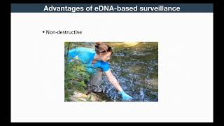 New York Sea Grant Invasive Species eDNA Research Update