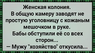 Как Жена Мужу Хозяйство Откусила! Сборник Свежих Анекдотов! Юмор!