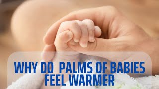 Why Do Babies' Hands Feel Warm?