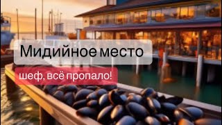 Мидийное место в Новороссийске | сезон упущен