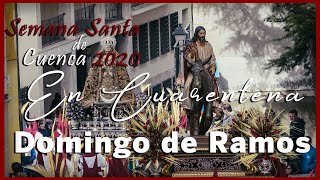 Domingo de Ramos 2020 - En cuarentena