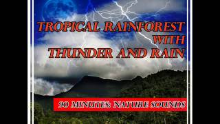 Tropical Rain Forest with Thunder and Rain