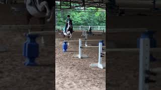 Harley literally killed these bounces#ponylover #subscribe #equestrian