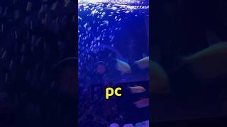 اغرب PC ممكن تشوفه!!😳🐟