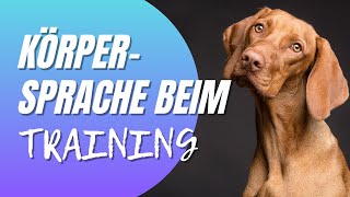 Körpersprache beim Hundetraining - Körperhaltung und Emotionen kontrollieren