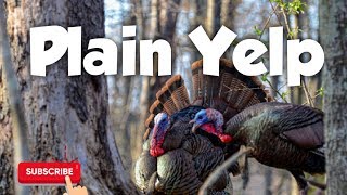 Turkey Hunting Call - Plain Yelp - Free Download