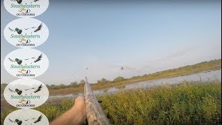 Alabama Waterfowl Hunting - Bluewing Teal Season - Sep 2015