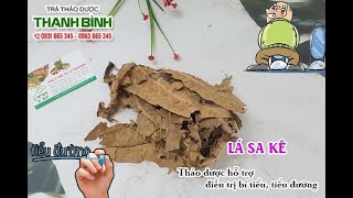 Lá Sa Kê | Công dụng của lá sa kê