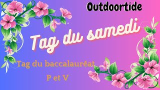 Tag du Baccalauréat P et V #outdoortide #tag #arttherapy #crossstitch #loisirscreatifs